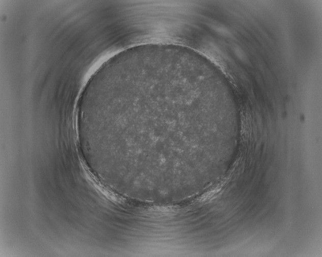 X0000067871078200604201212