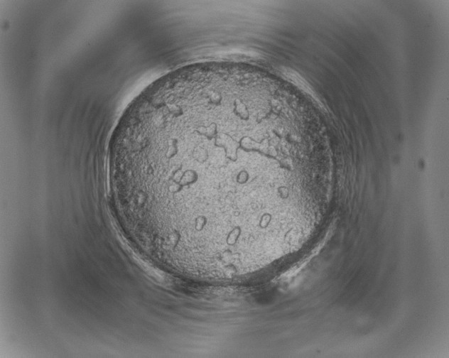 X0000067871079200604201212