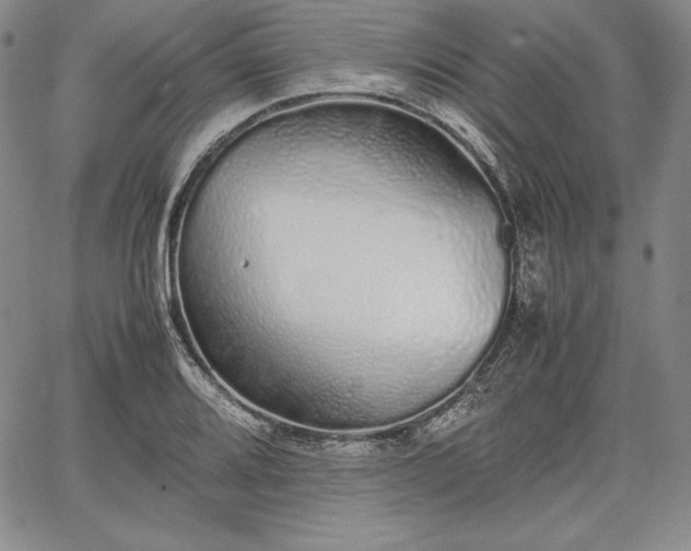 X0000067871080200604201212