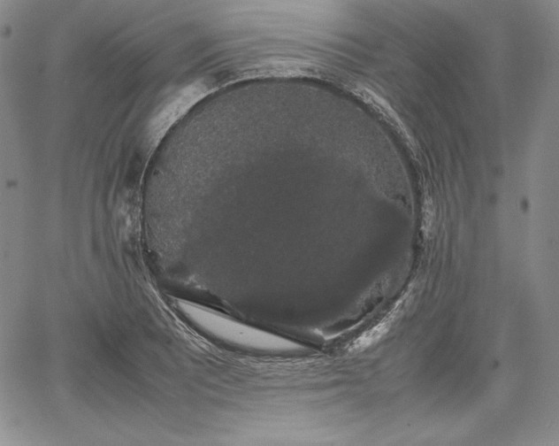 X0000067871081200604201212