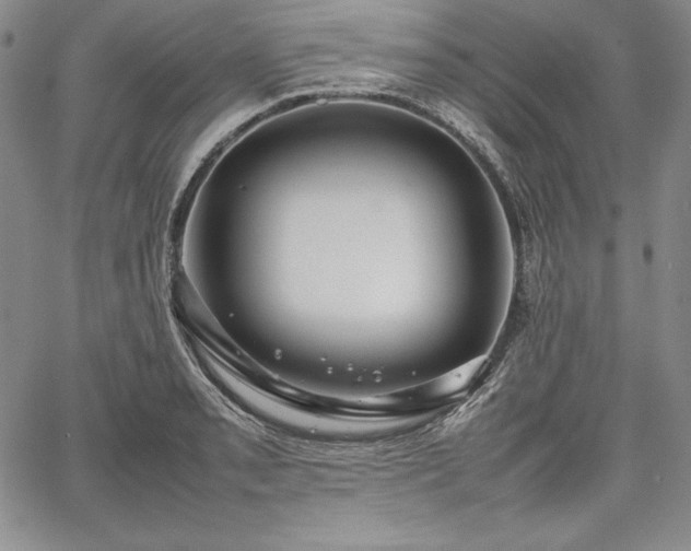 X0000067871085200604201212