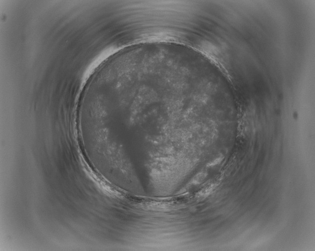 X0000067871086200604201212