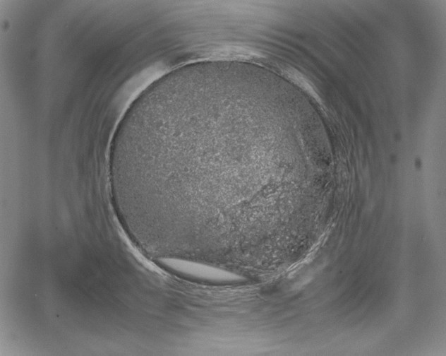 X0000067871087200604201212