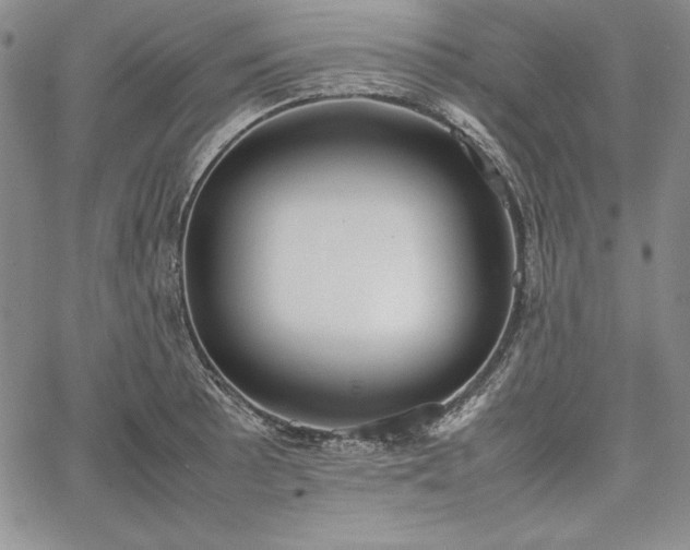 X0000067871089200604201212