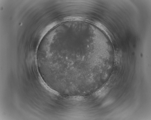 X0000067871090200604201212