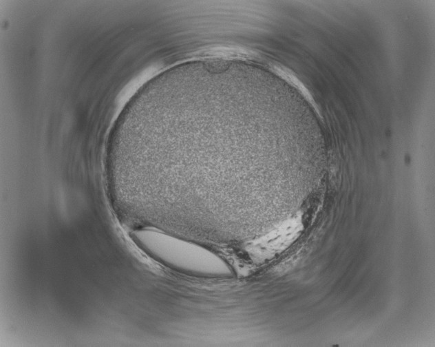 X0000067871091200604201212