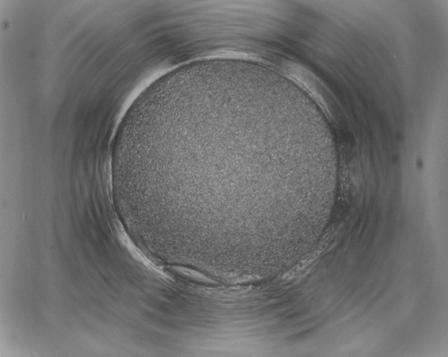 X0000067871092200604201212