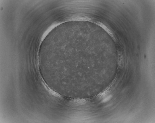 X0000067871094200604201211