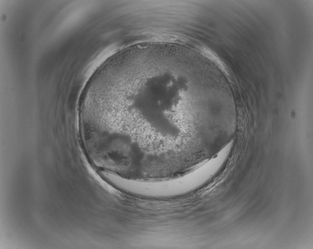 X0000067871095200604201211