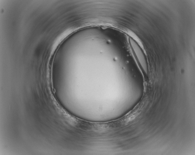 X0000067871096200604201211