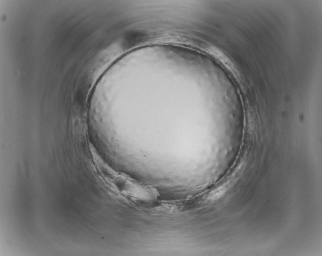 X0000067871097200604201211