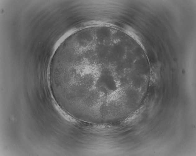 X0000067871098200604201211