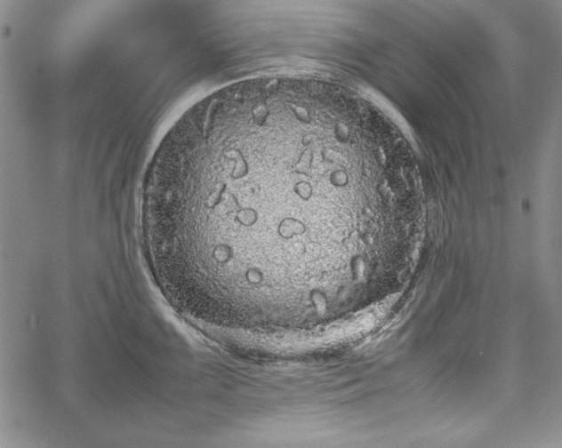 X0000067871099200604201211