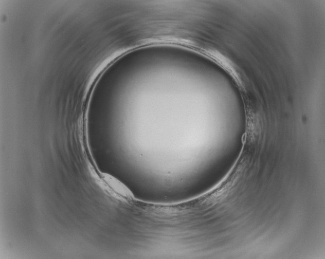 X0000067871100200604201211