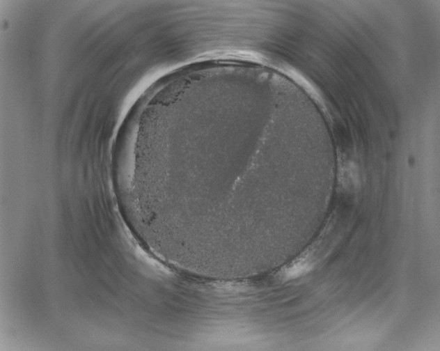 X0000067871102200604201211