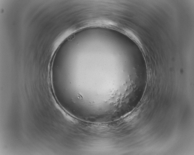 X0000067871103200604201211