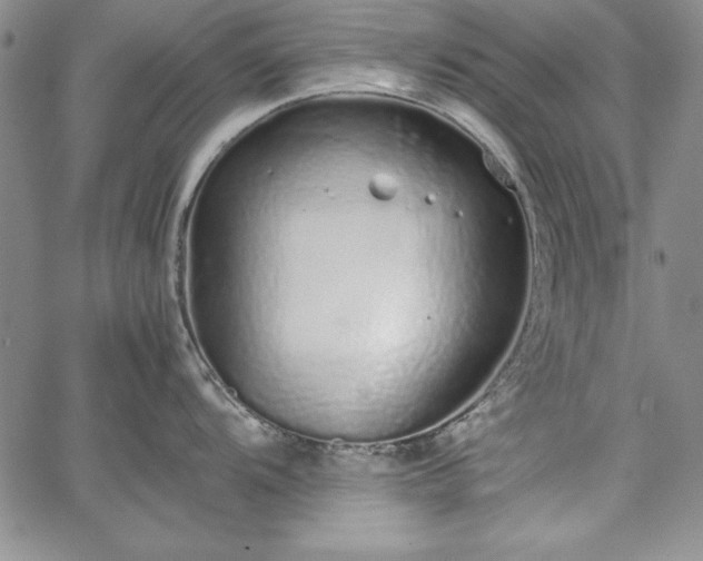 X0000067871104200604201211