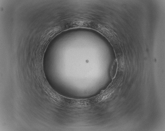 X0000067871105200604201210