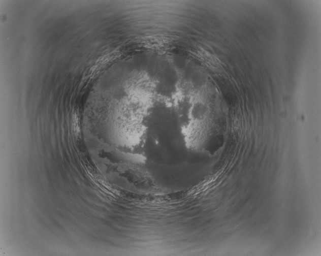 X0000067871106200604201211