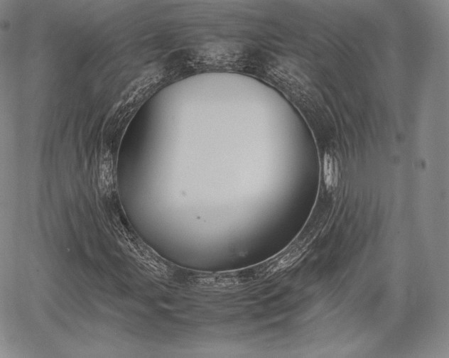 X0000067871107200604201211