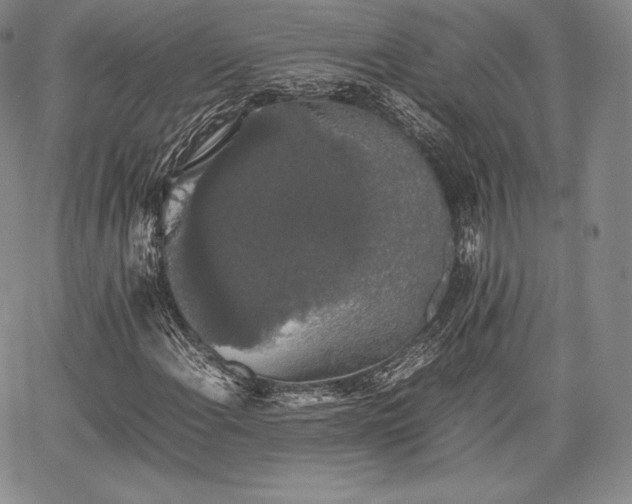 X0000067871108200604201211