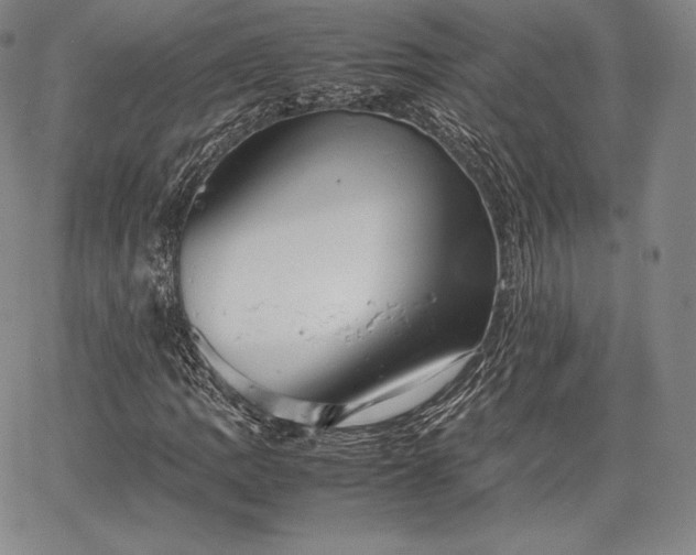 X0000067871109200604201211