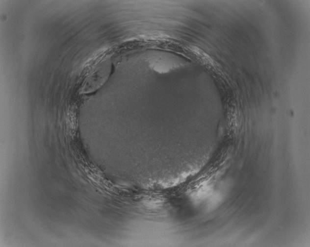 X0000067871110200604201211