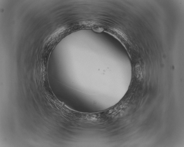 X0000067871111200604201211