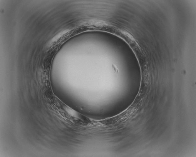 X0000067871112200604201211