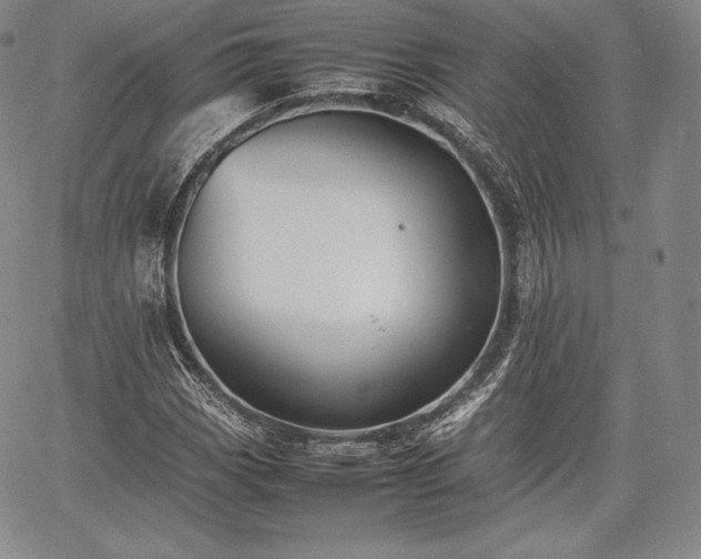 X0000067871113200604201211