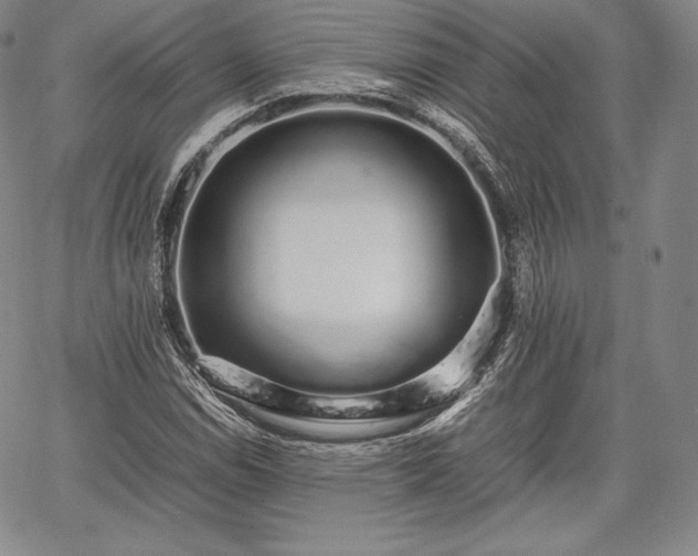 X0000067871114200604201211