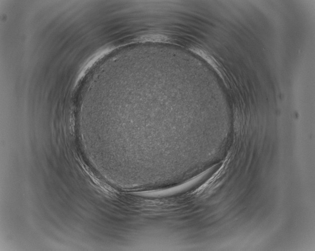 X0000067871115200604201211