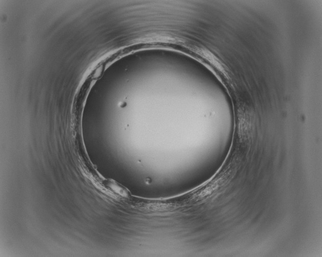 X0000067871116200604201211