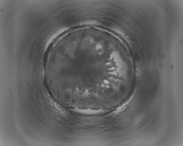 X0000067871117200604201211