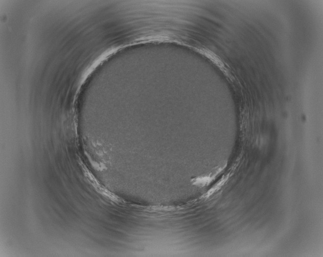 X0000067871118200604201211