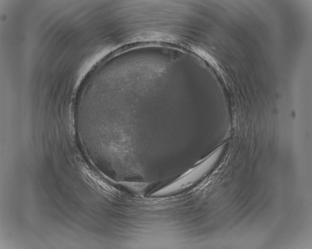 X0000067871120200604201211