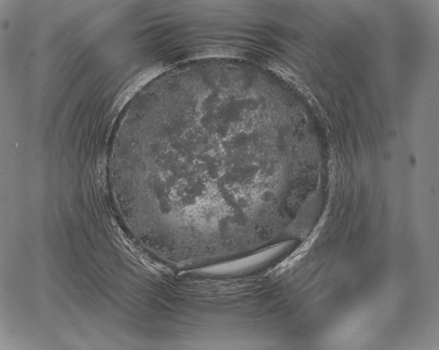 X0000067871121200604201211