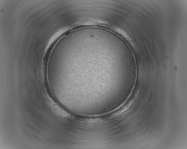 X0000067871122200604201211