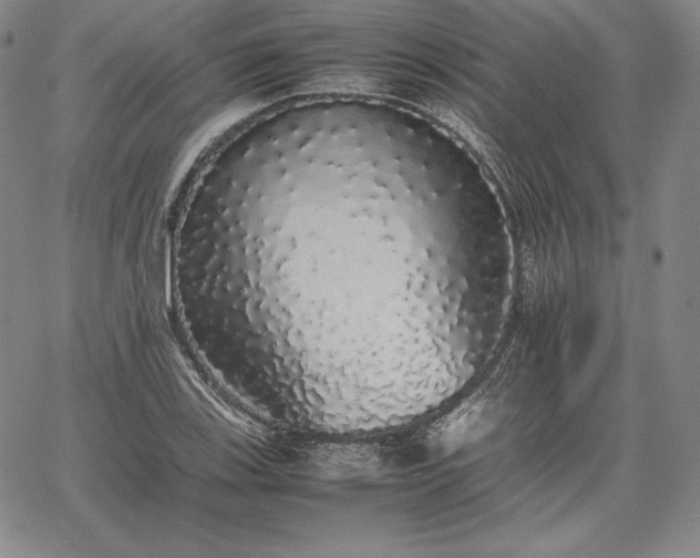 X0000067871123200604201211