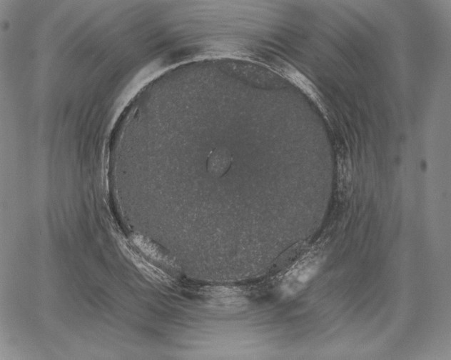 X0000067871124200604201211