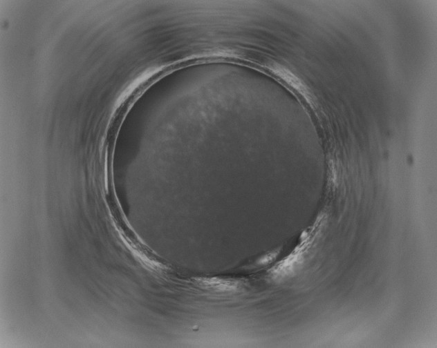 X0000067871127200604201211