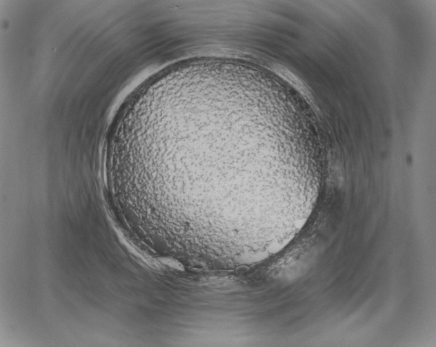 X0000067871128200604201211