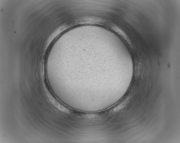 X0000067871130200604201211