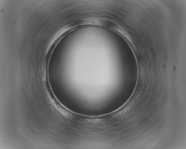 X0000067871131200604201211