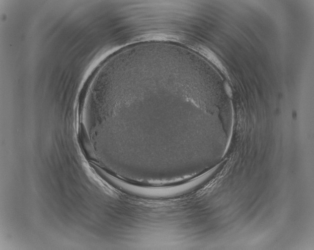 X0000067871132200604201211