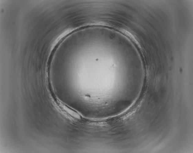 X0000067871133200604201211