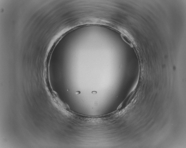 X0000067871136200604201211