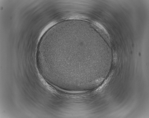 X0000067871138200604201211