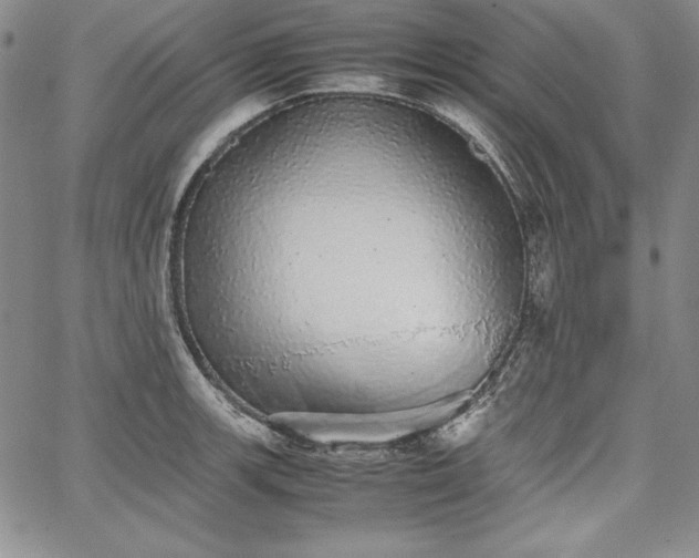 X0000067871139200604201211