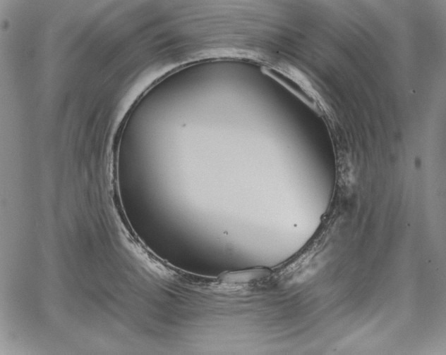 X0000067871140200604201211